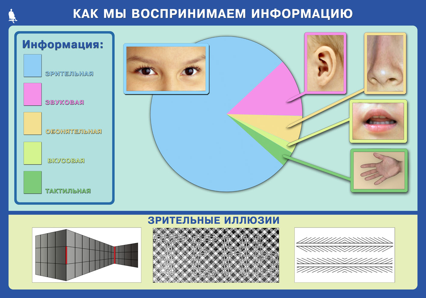 Схема восприятия информации. Способы восприятия информации. Восприятие информации органами чувств. Восприятие информации глазами. Способы восприятия человека.